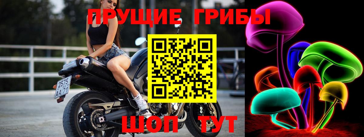 Галлюциногенные грибы Psilocybine cubensis Светлоград